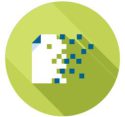 PPV_Icon02